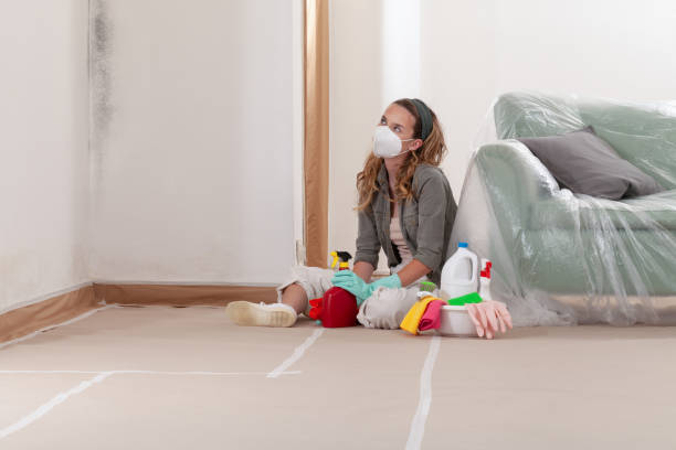 Reliable Commercial Mold Remediation contractor in Red Bank, TN by WQB Mold Removal